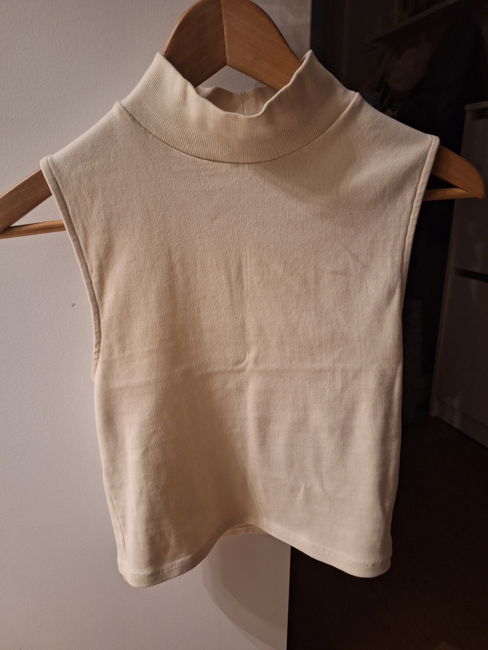 Zara Sleeveless Mock Neck Camisole in Cream